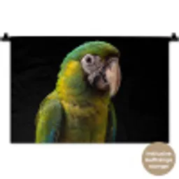 Ara - Portret - Groen Wandkleed katoen klein -t3d_DE