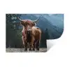 Schotse hooglander - Berg - Landschap - Bomen - Koe - Natuur Muursticker klein -3d