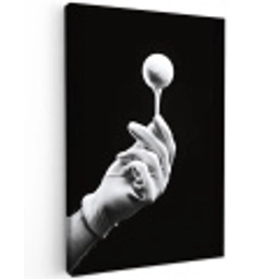 Golfbal - Zwart - Wit Tuinposter op houten frame 2 cm dik middel -3d