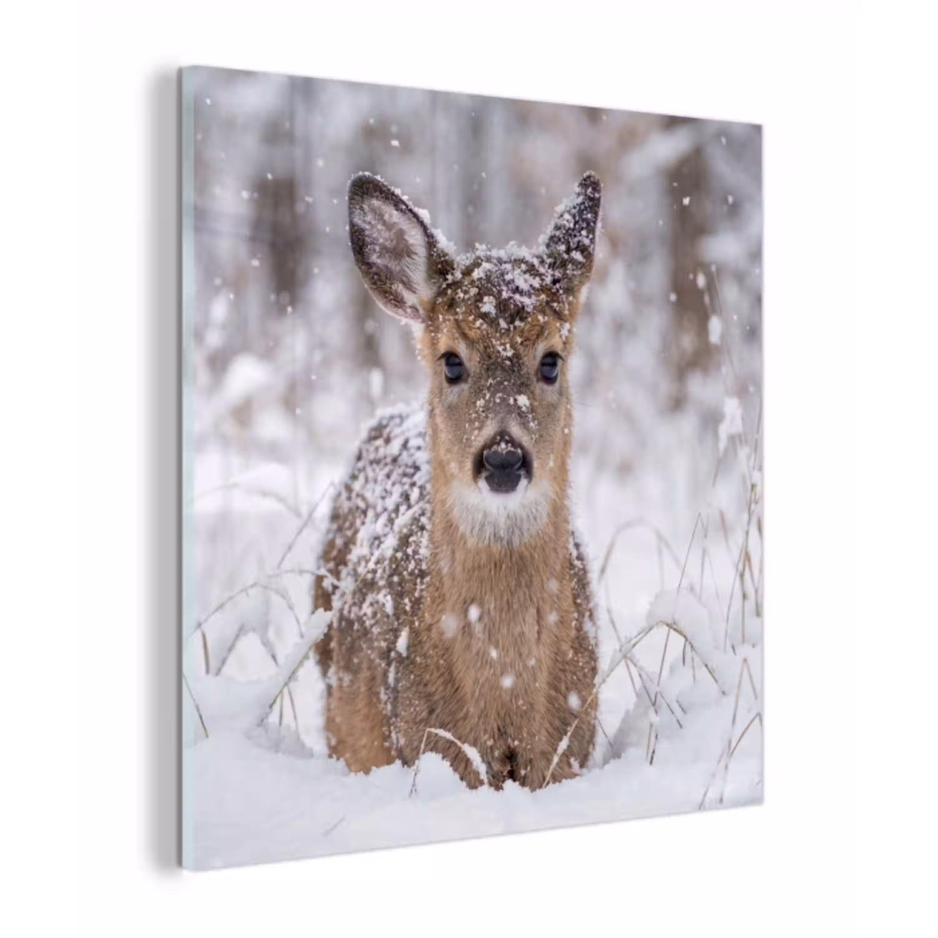 Hert - Sneeuw - Bos - Dieren - Vertederend plexiglas 5mm klein -z3d