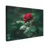 Roos - Bladeren - Dieprood canvas 2cm klein -z3d