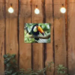 Toekan - Vogel - Jungle tuinposter los doek klein -sfeer1