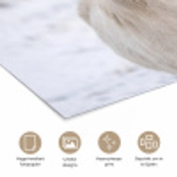 Paard - Kop - Winter - Dieren - Wit poster papier klein -closeup_NL