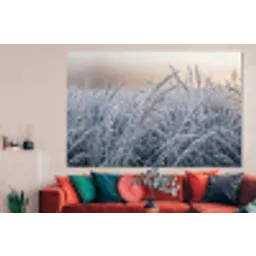 Rijp - Gras - Kristallen - Winter - Minimalistisch forex 5mm xxl -woonkamer