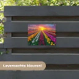 Tulpenveld - Zonsondergang - Kleurrijk tuinposter los doek klein -sfeer3