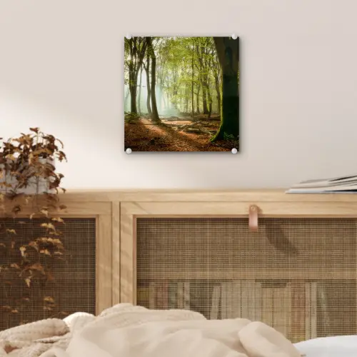 Bos - Zon - Seizoenen - Landschap plexiglas 5mm klein -sfeer4