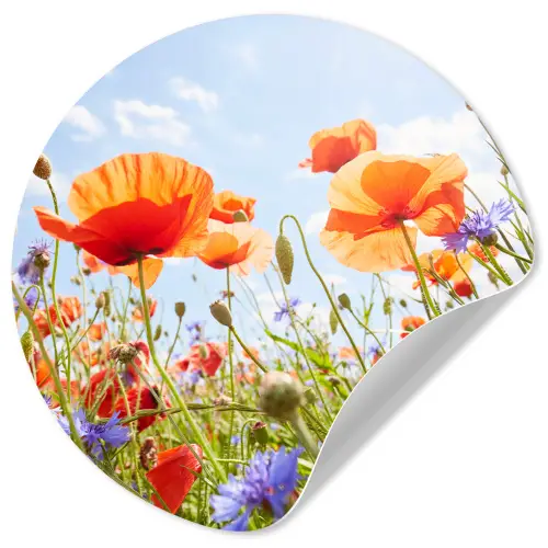 Bloemen - Klaproos - Lente - Natuur - Rood - Blauw Wandcirkel behangsticker klein -3d