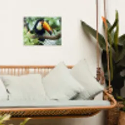 Toekan - Vogel - Jungle tuinposter los doek klein -sfeer7