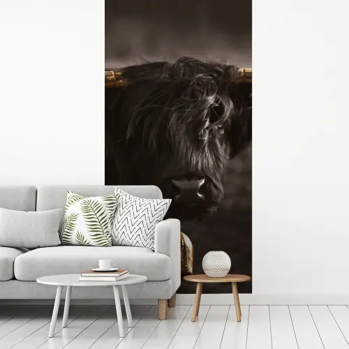 Schotse hooglander - Goud - Koebel - Hoorns - Dieren fotobehang vinyl groot -woonkamer