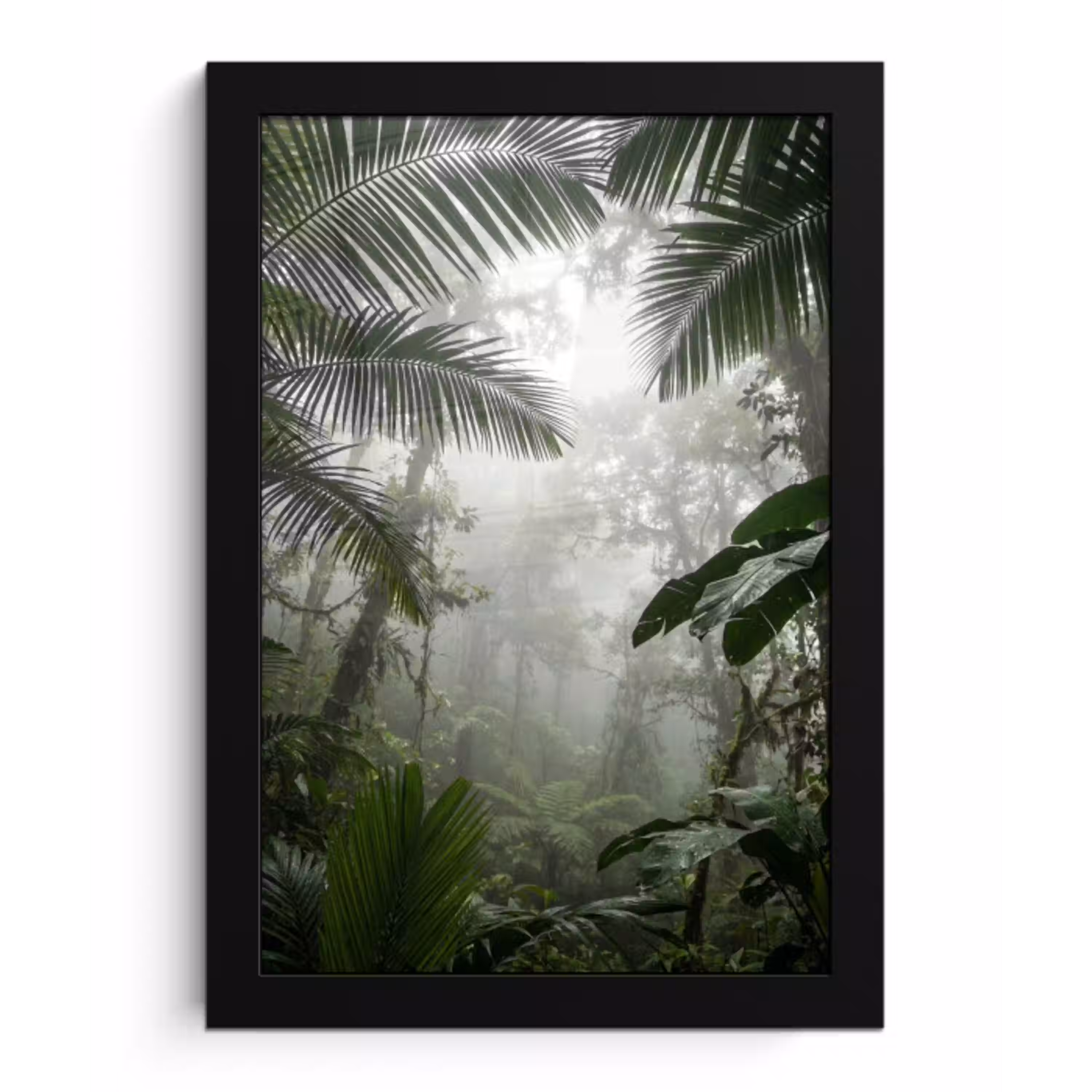Natuur - Jungle - Mist - Groen - Bladeren fotolijst zwart zonder passe partout klein -3d