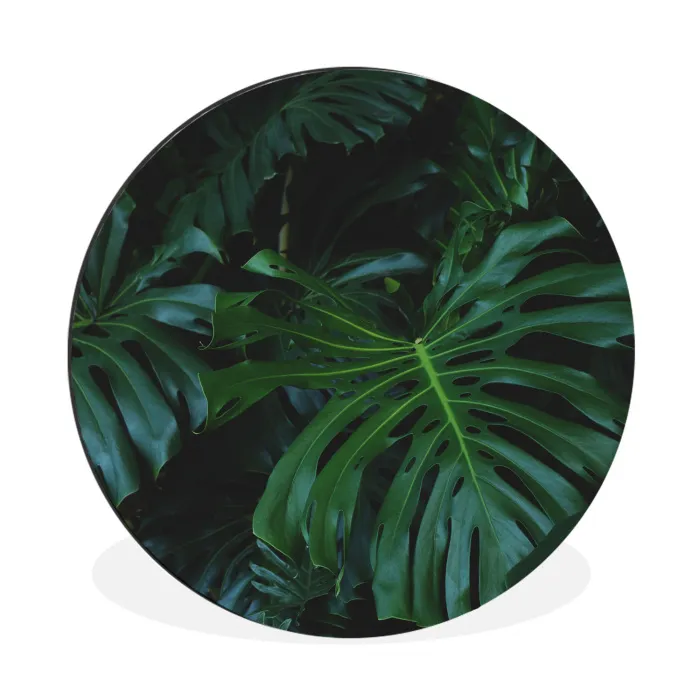 Monstera -  Inductie beschermer - Bladeren - Tropical - Afdekplaat voor kookplaat Wandcirkel aluminium klein -3d