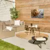 Schotse Hooglander - Dieren - Bruin - Koe - Zwart - Wit - Natuur Tuinposter op houten frame 2 cm dik klein -sfeer2