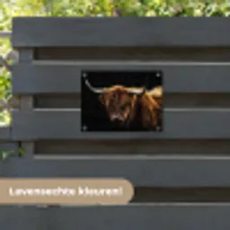 Hooglander tegen Zwarte Achtergrond tuinposter los doek klein -sfeer3