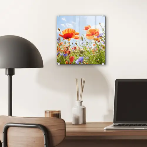 Bloemen - Klaproos - Lente - Natuur - Rood - Blauw plexiglas 5mm klein -sfeer6