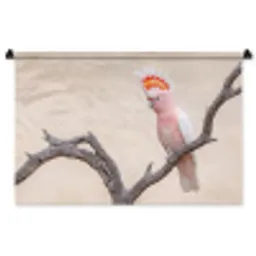 Papagaai - Tak - Roze Wandkleed katoen middel -zz3d