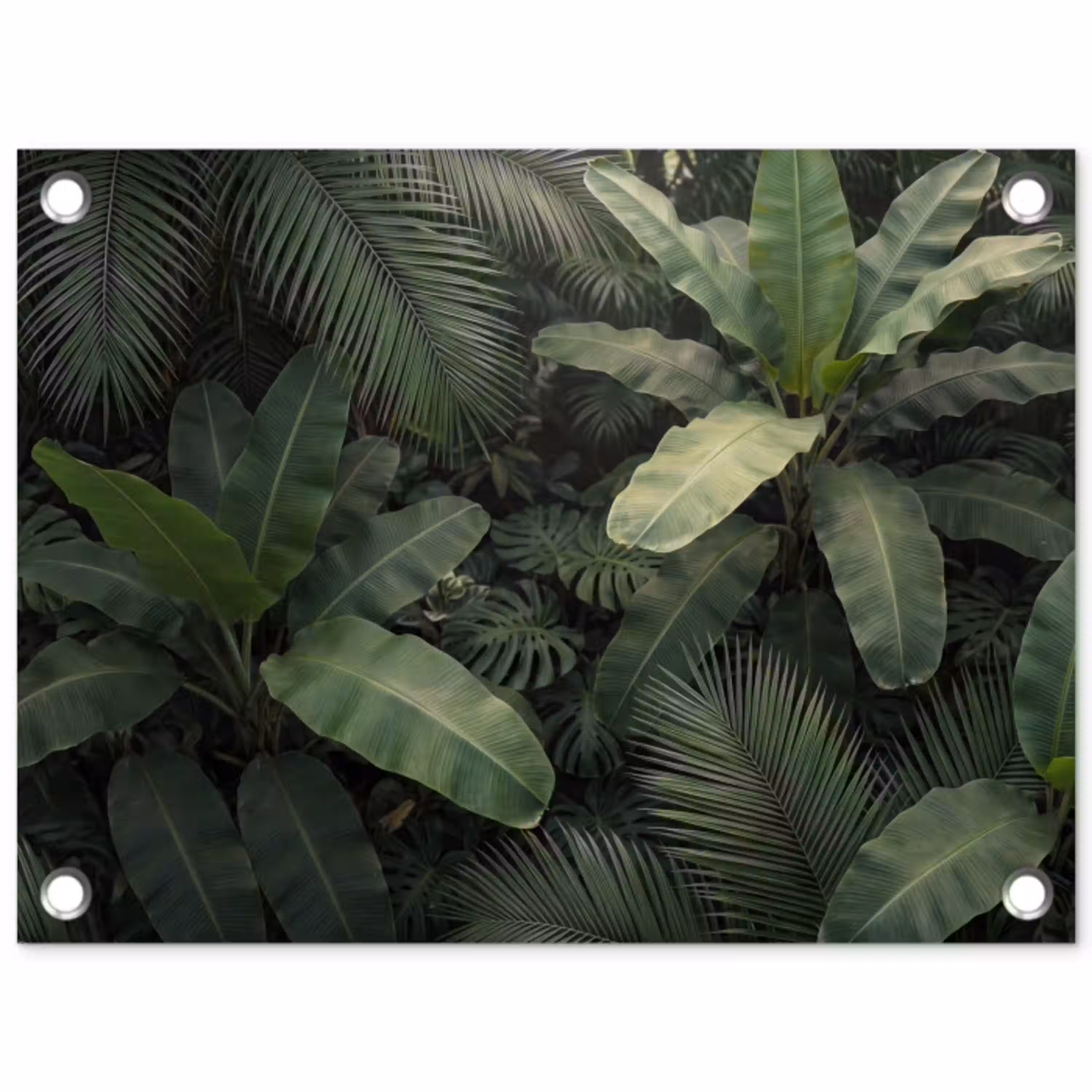 Bladeren - Groen - Tropisch - Natuur tuinposter los doek klein -3d