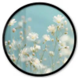 Stengels - Bloemen - Lucht - Wit Fotolijst rond zonder passe partout klein -3d