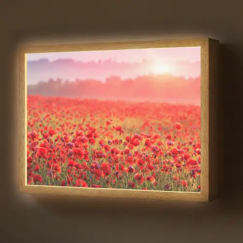 Bloemen - Klaprozen - Rood - Bloemenveld Light Box met batterij (Wandlamp) middel -z3d_website