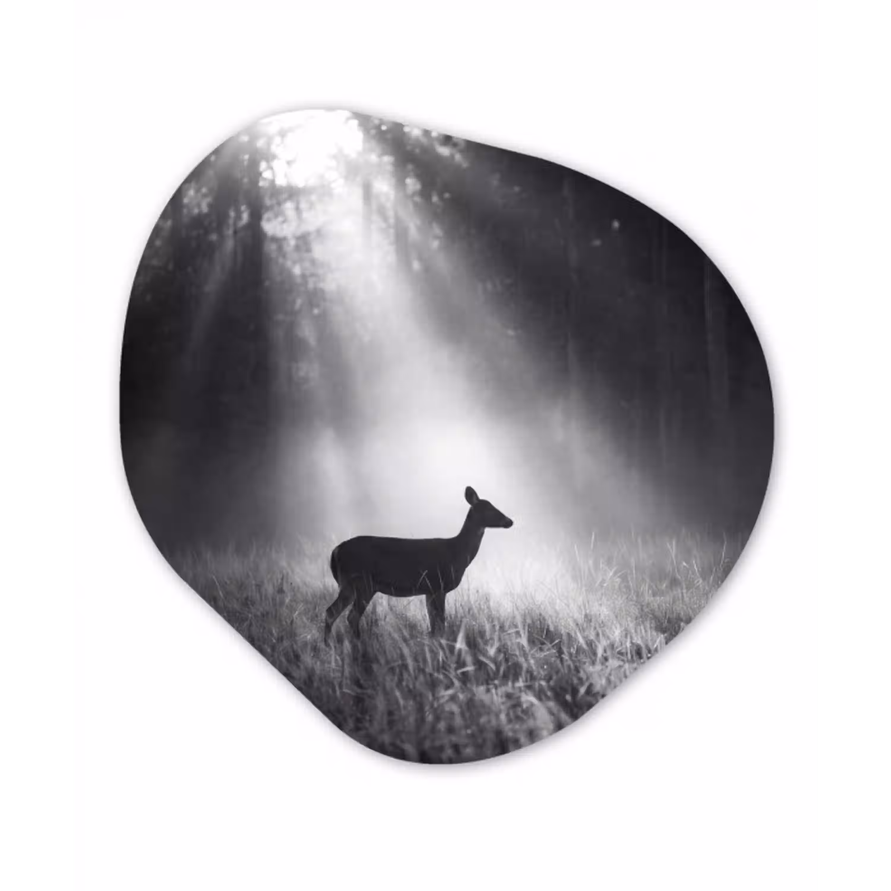Hert - Bos - Zonnestralen - Zwart-wit - Natuur Wandcirkel Organisch Aluminium middel -3d