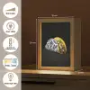 Taco - Vlees - Salade - Delftsblauw - Motief Light Box met kabel (Tafellamp) klein -USP_FR
