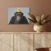 Chimpansee - Badeend - Grijs PET vilt klein -sfeer4