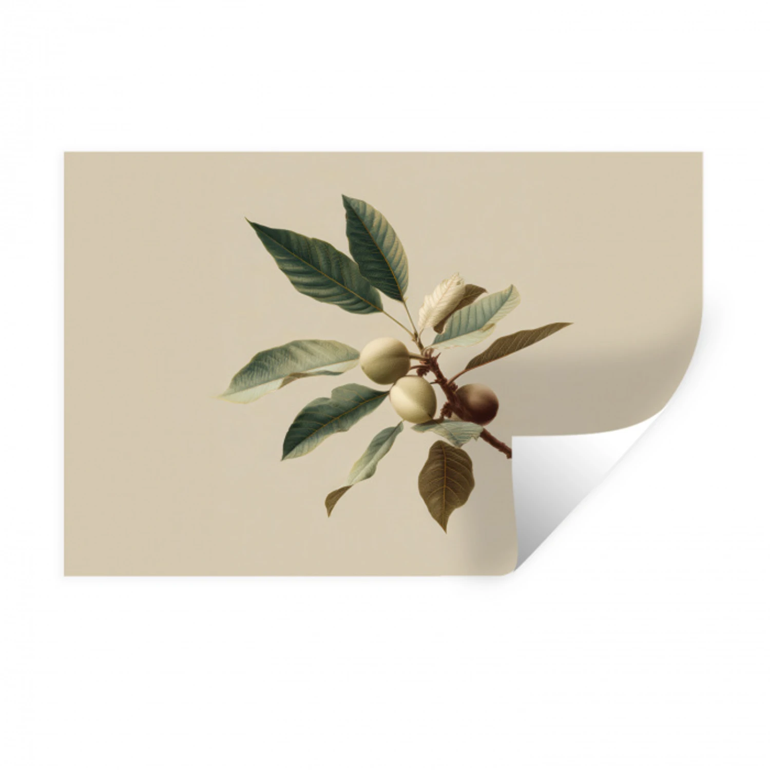 Tak - Groene Bladeren - Vruchten Muursticker klein -3d