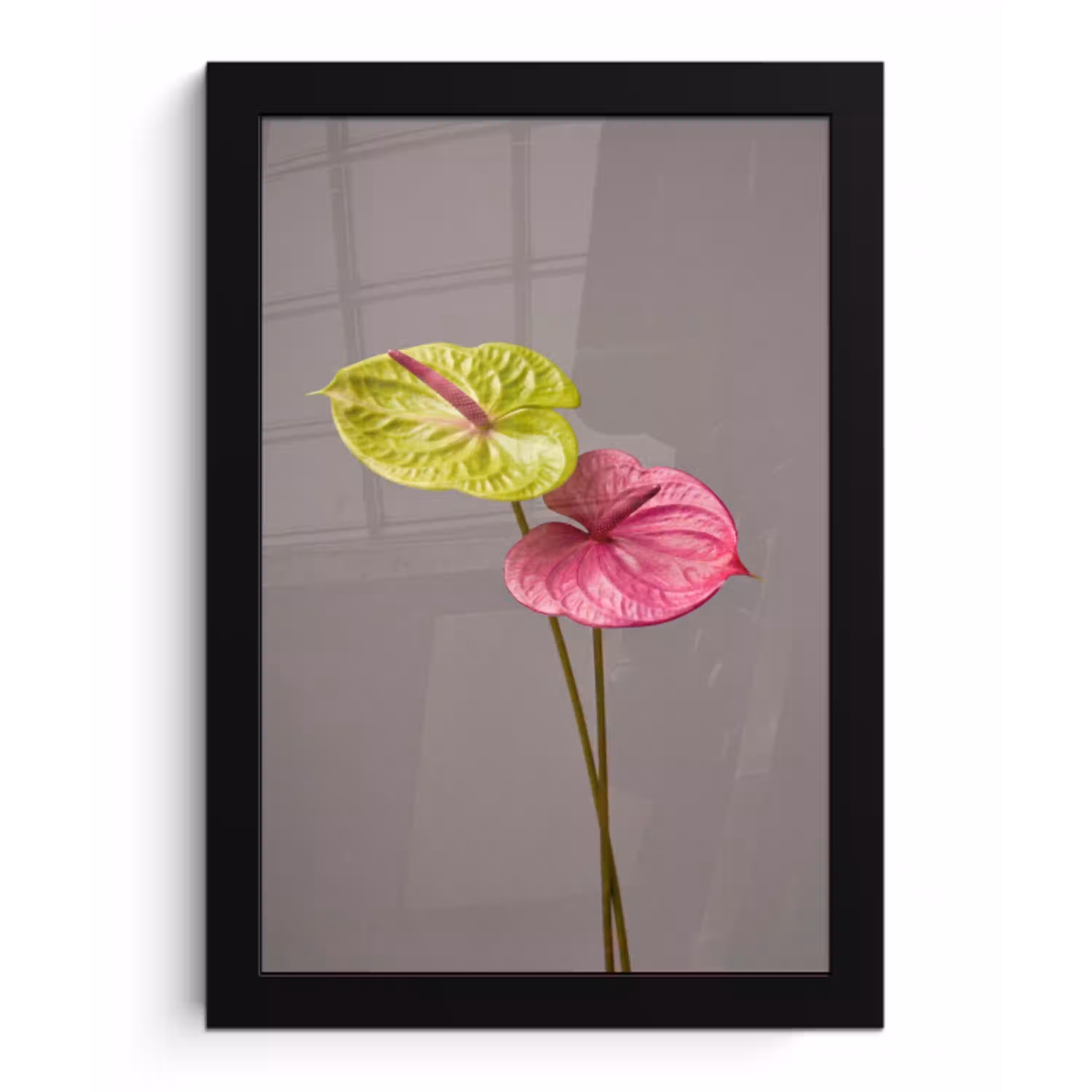 Planten - Anthurium - Groen - Roze fotolijst zwart zonder passe partout klein -3d