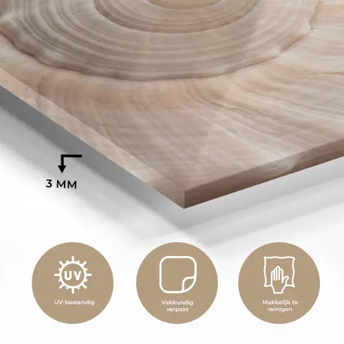 Schelp - Detail - Beige plexiglas 5mm klein -sfeer2