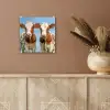 Koeien - Lucht - Dieren - Boerderij - Portret plexiglas 5mm klein -sfeer5