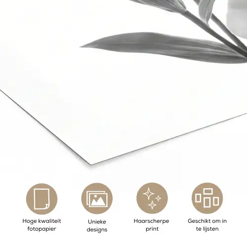 Lelies - Elegant - Zwart - Wit poster papier klein -closeup_NL