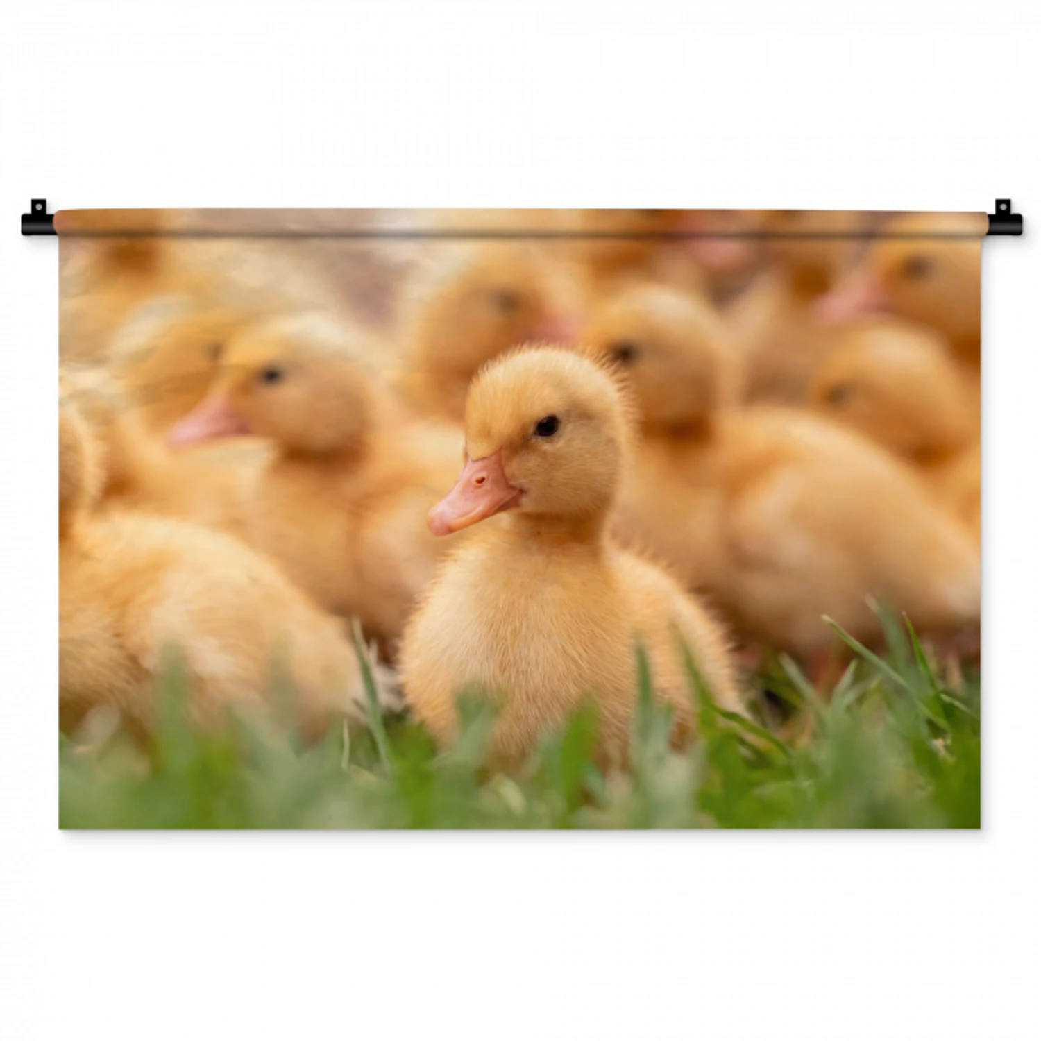 Pijltje - Eend - Natuur - Geel Wandkleed katoen middel -zz3d