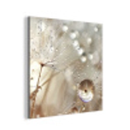 Natuur - Bloemen - Druppels - Regen aluminium wit klein -3d