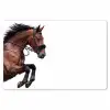 Paard - Springen - Modern Placemat vinyl groot -zzsfeer1_Kitchenyeah-website