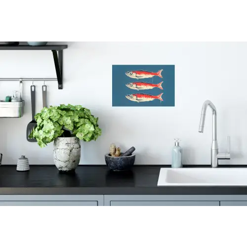 Vissen - Rood - Blauw Muursticker klein -keuken