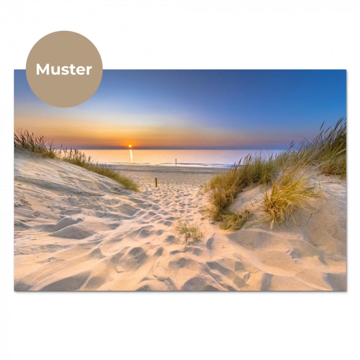 Duin - Zonsondergang - Horizon - Strand - Gras keuken achterwand sample klein -3d_DE