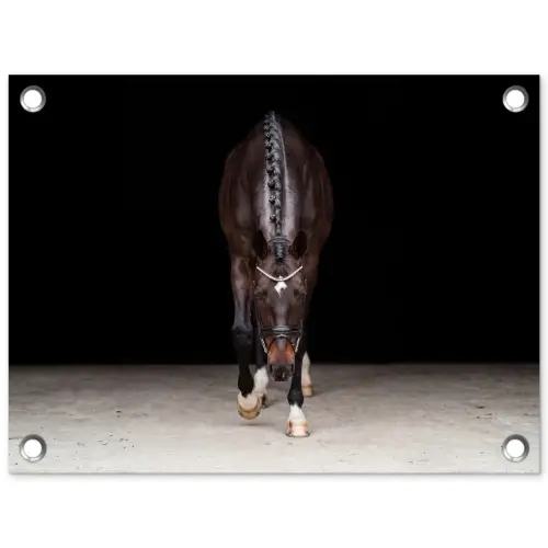 Paard - Modern - Portret tuinposter los doek klein -3d