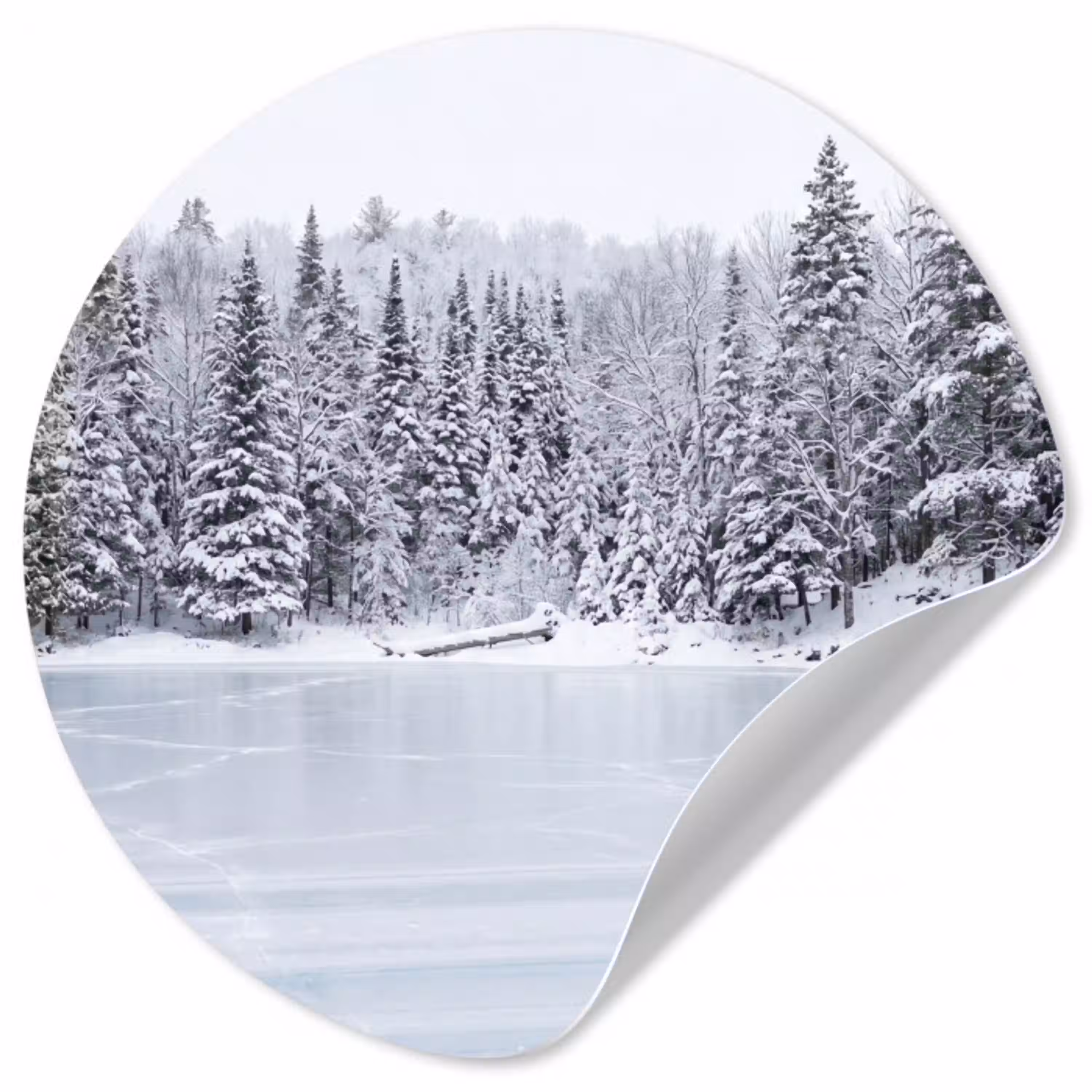 Meer - Dennen - IJs - Winter - Rustgevend Wandcirkel behangsticker klein -3d