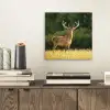 Hert - Gewei - Gras - Natuur - Dieren - Groen aluminium wit klein -sfeer1