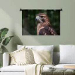 Buizerd - Roofvogel - Natuur - Bruin Wandkleed katoen klein -sfeer7