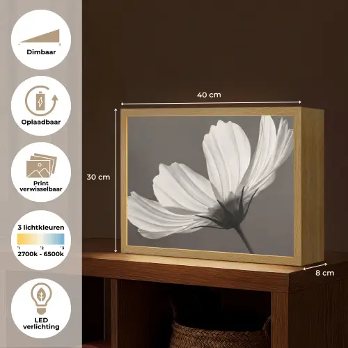 Bloem - Minimalistisch - Zwart - Wit Light Box met batterij (Wandlamp) middel -USP_websiteoverzichtNL