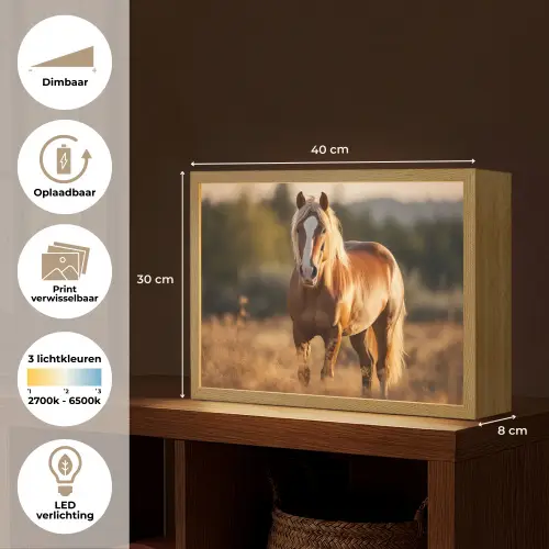 Paard - Bruin - Natuur - Weiland - Dier Light Box met batterij (Wandlamp) middel -USP_websiteoverzichtNL