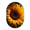 Geel - Zonnebloem - Zomers Wandcirkel Ovaal Forex klein -3d