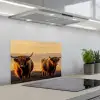 Schotse hooglanders - Heide - Landschap - Dieren keuken achterwand spatscherm klein -3d_schuin