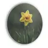 Bloem - Narcis - Gras - Geel Akoestische PET Vilt - Rond klein -3d