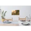 Hek - Natuur - Mist - Veld Muursticker klein -eettafel