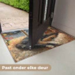 Kat - Kerst - Winter - Dier Deurmat klein -USP_NL