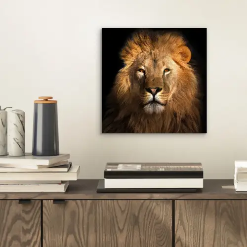 Leeuw - Dieren - Zwart - Licht - Bruin - Portret aluminium wit klein -sfeer1