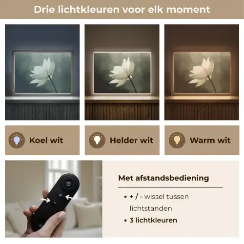 Wit - Lotus - Donker - Bloem Light Box met batterij (Wandlamp) middel -USP_lichtkleurNL