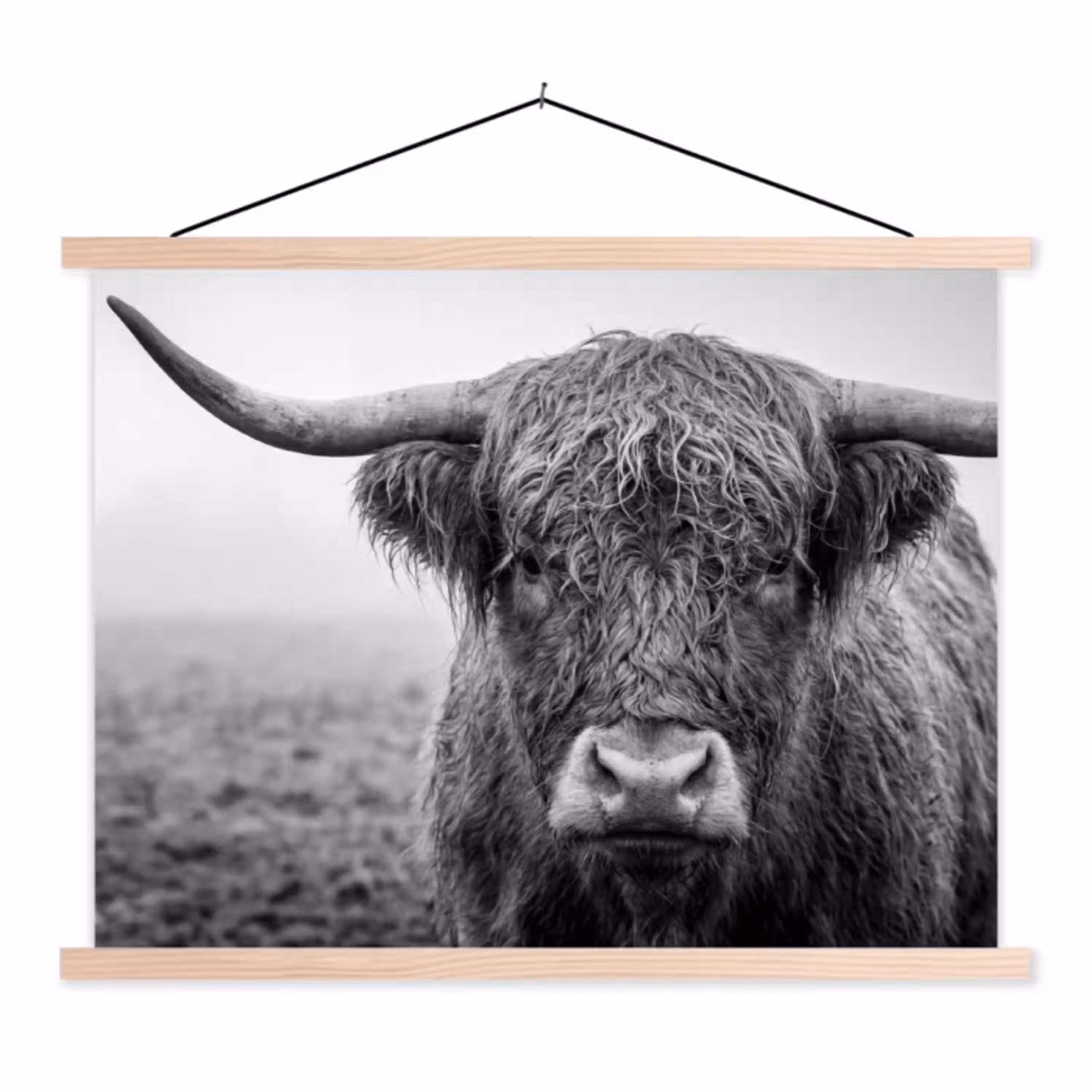 Schotse hooglander - Zwart - Wit - Gras textielposter latten blank klein -3d