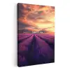 Lavendelveld - Quote - Zonsondergang KitchenYeah - Keuken - Canvas klein -3d